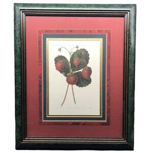 The Downton Strawberry Framed Print with Burgundy and Green Matte, Botanical Art